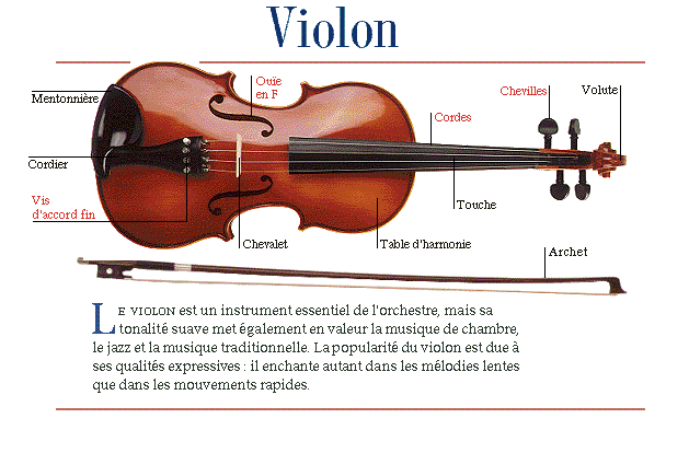 Violon - 1